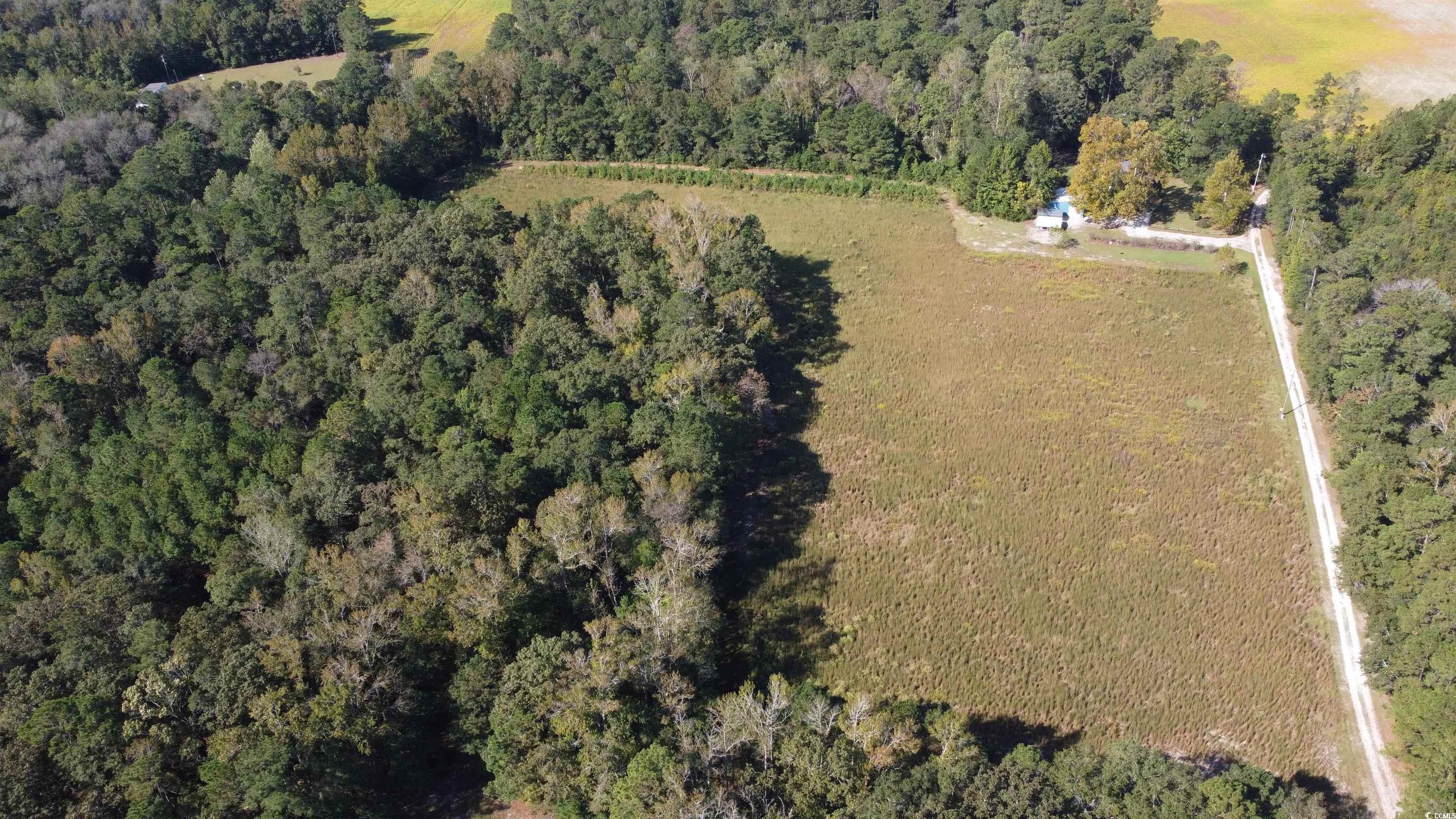 Tbd Blue Bird Road Loris, SC 29569 - Photo 4 of 11 Gallery Image 4