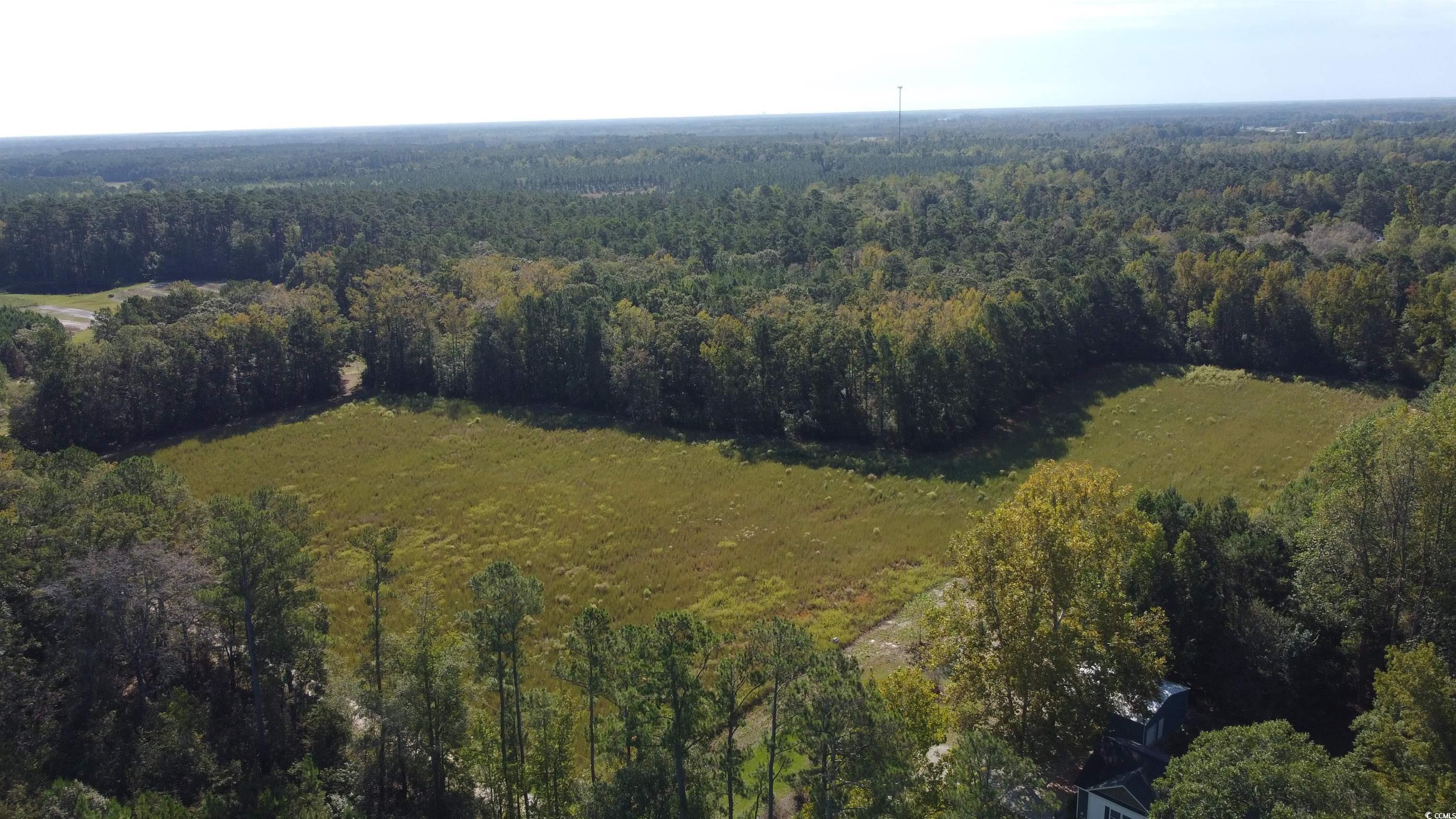 Tbd Blue Bird Road Loris, SC 29569 - Photo 8 of 11 Gallery Image 8