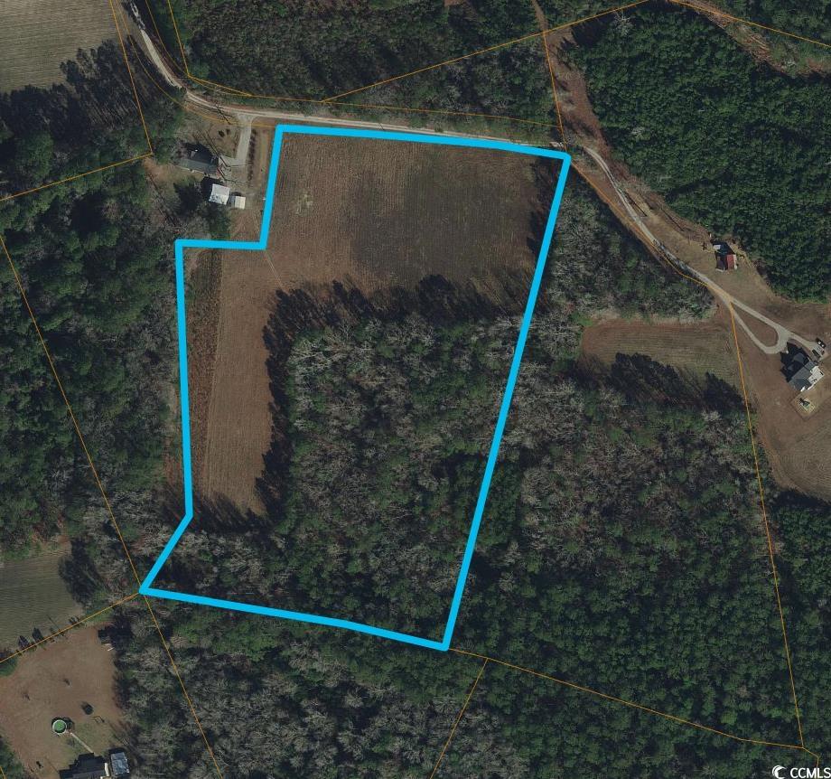 Tbd Blue Bird Road Loris, SC 29569 - Photo 9 of 11 Gallery Image 9