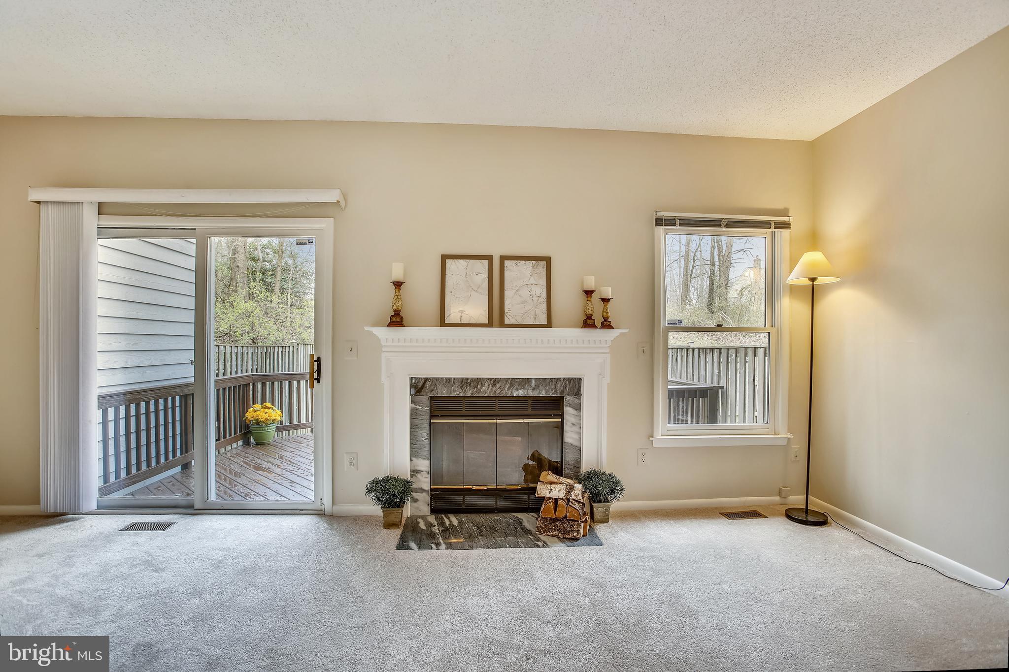 1404 Newport Spring Court Reston, VA 20194 - Photo 18 of 70 Wood-Burning Fireplace in Living Room