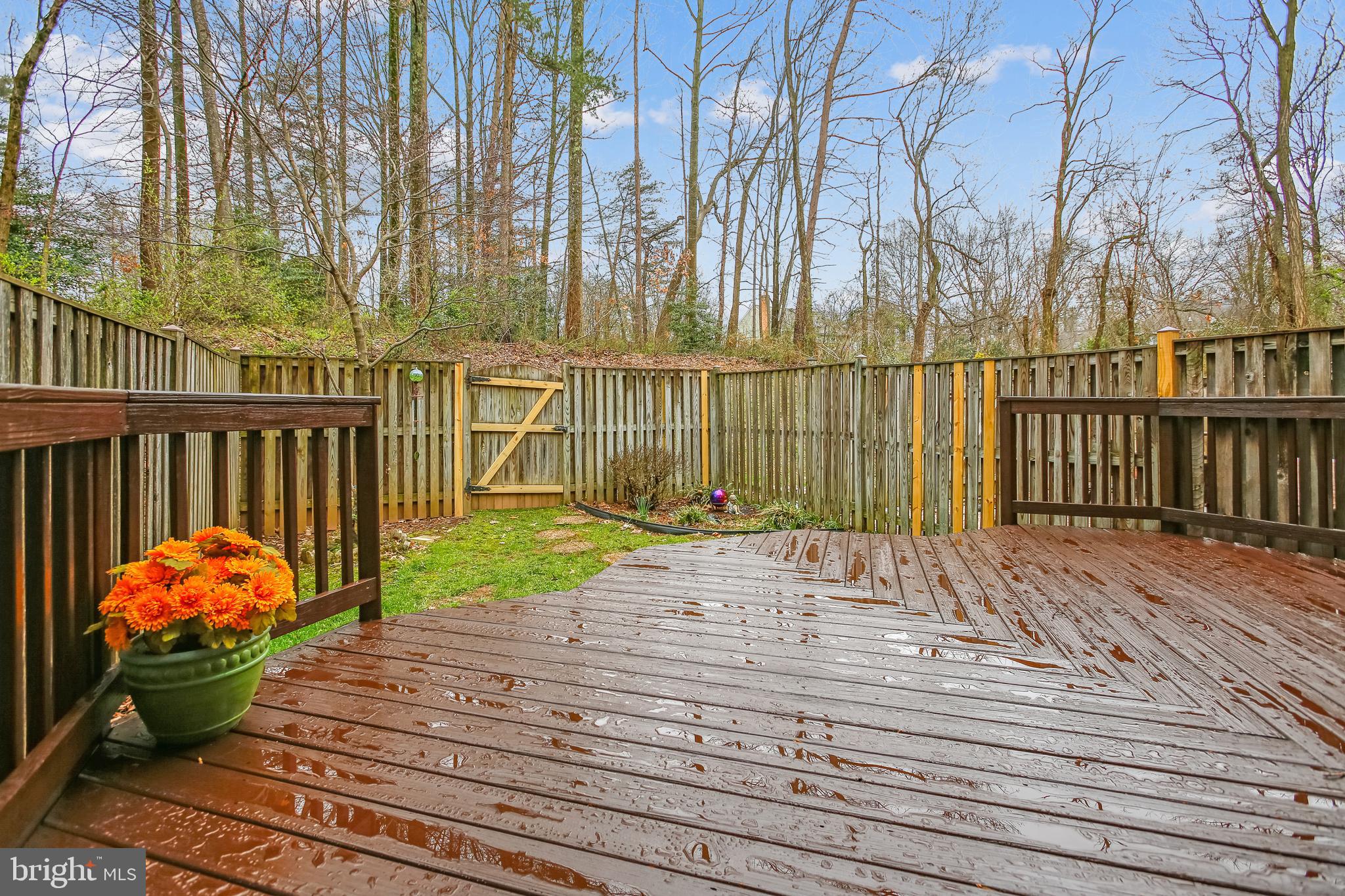 1404 Newport Spring Court Reston, VA 20194 - Photo 23 of 70 Enjoy Year-Round Wooded Views!
