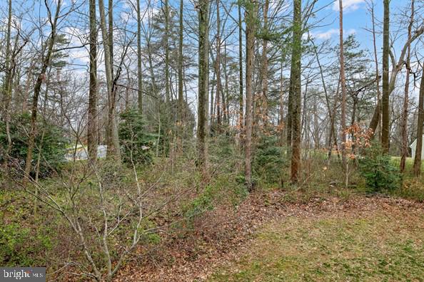 1404 Newport Spring Court Reston, VA 20194 - Photo 24 of 70 View from Rear of Your New Home!!!
