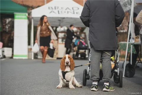 a view of path along with building