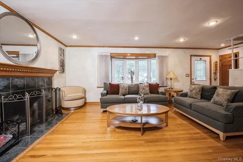 a living room with furniture a fireplace a rug and a window