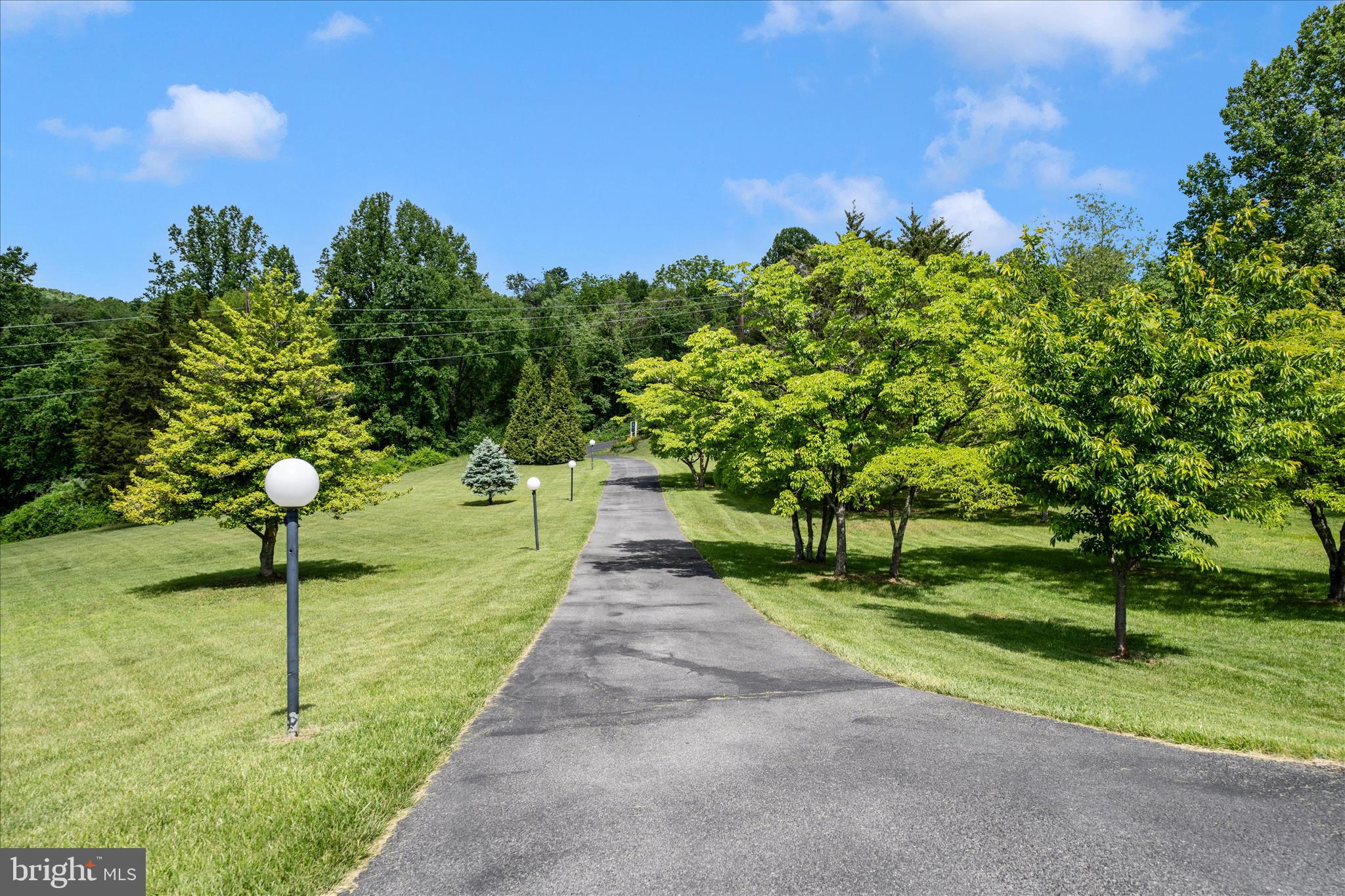 9237 Frostown Road Middletown, MD 21769 - Photo 93 of 113 a view of a park with large trees