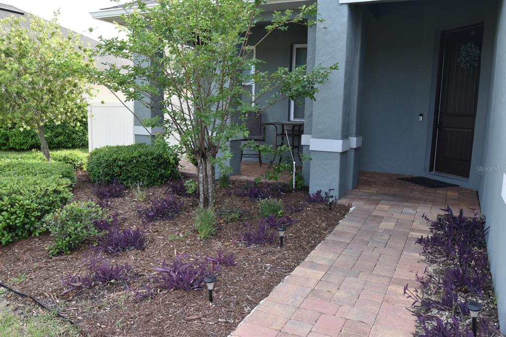 709 Calabria Way Howey-in-the-Hills, FL 34737 - Photo 3 of 26 a view of a yard with plants and a fountain