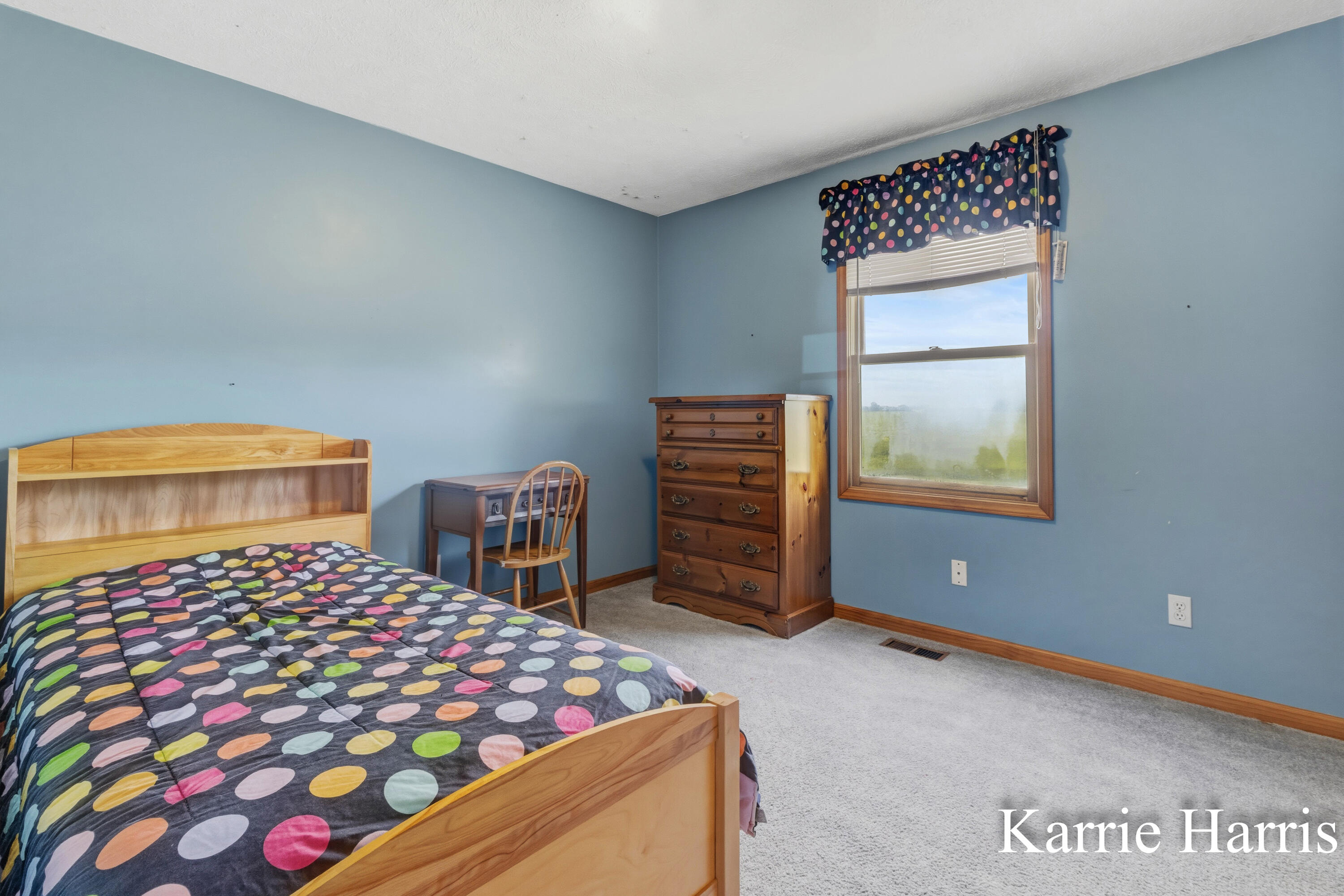 6048 Cedar Lake Road Southeast Sheridan, MI 48884 - Photo 18 of 39 Bedroom 3