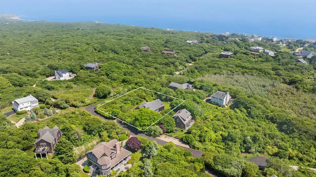 an aerial view of residential house with outdoor space and trees all around