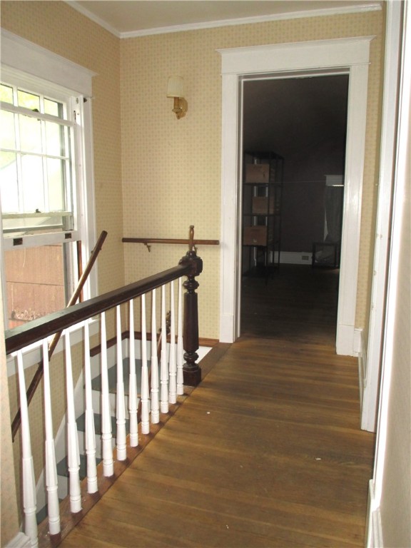 53 Center Street Oneonta, NY 13820 - Photo 25 of 50