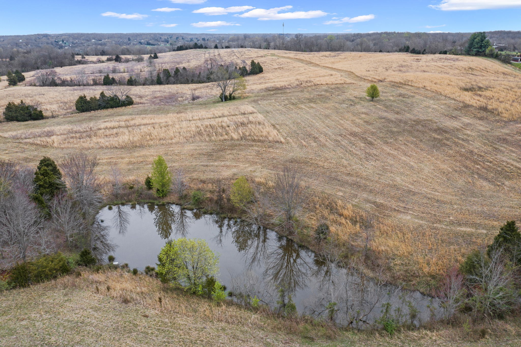 3469 Pinson School Road Springfield, TN 37172 - Photo 8 of 11 Gallery Image 8