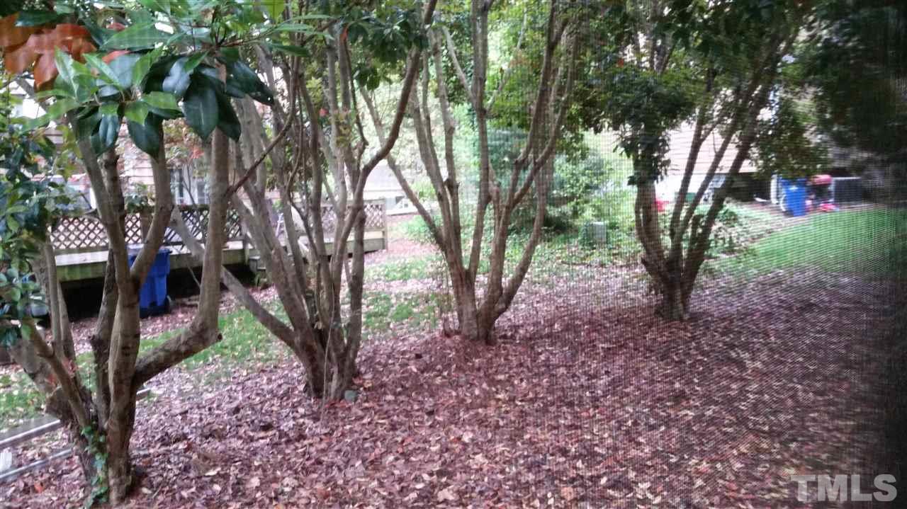 3802 Axle Lane Raleigh, NC 27616 - Photo 14 of 14 a view of outdoor space and tree