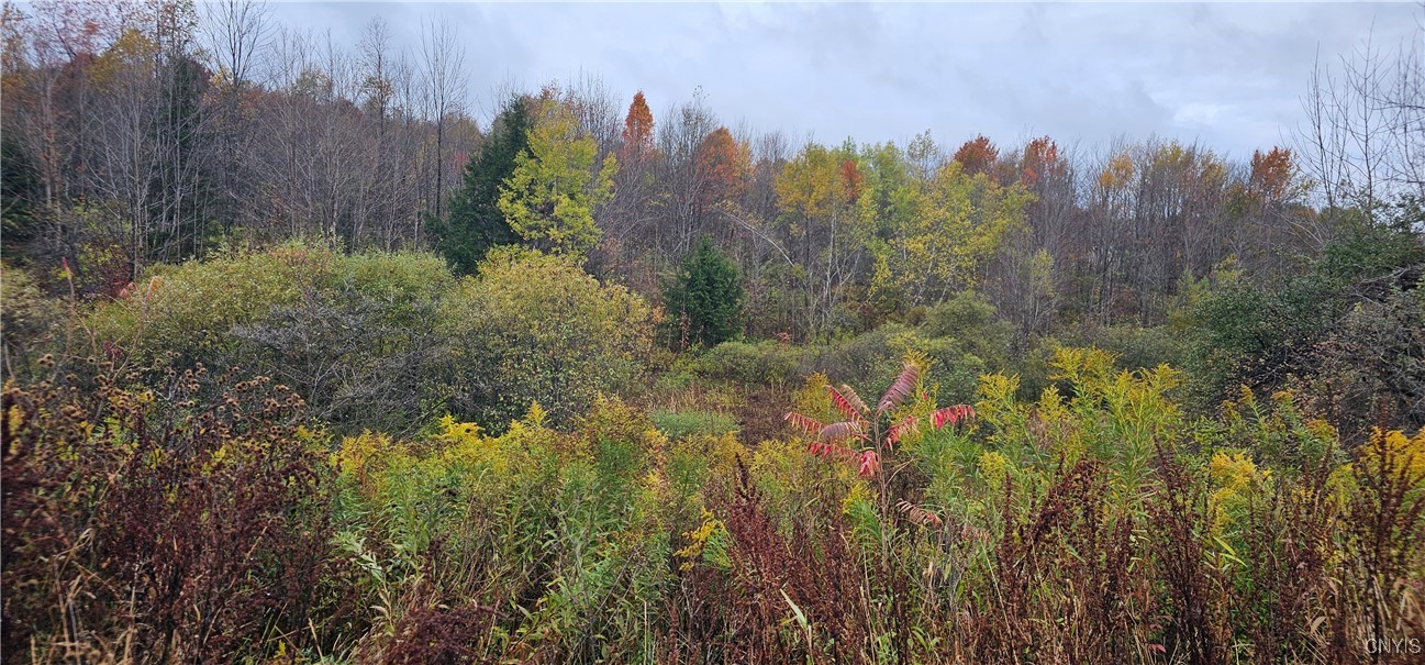 10433 French Road Steuben, NY 13438 - Photo 16 of 49 Cincinnati Creek area