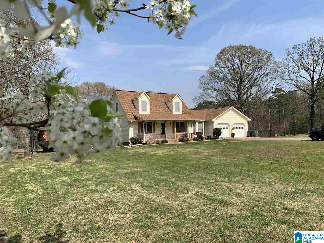 720 Big Rock Road Pell City, AL 35128 - Photo 3 of 47