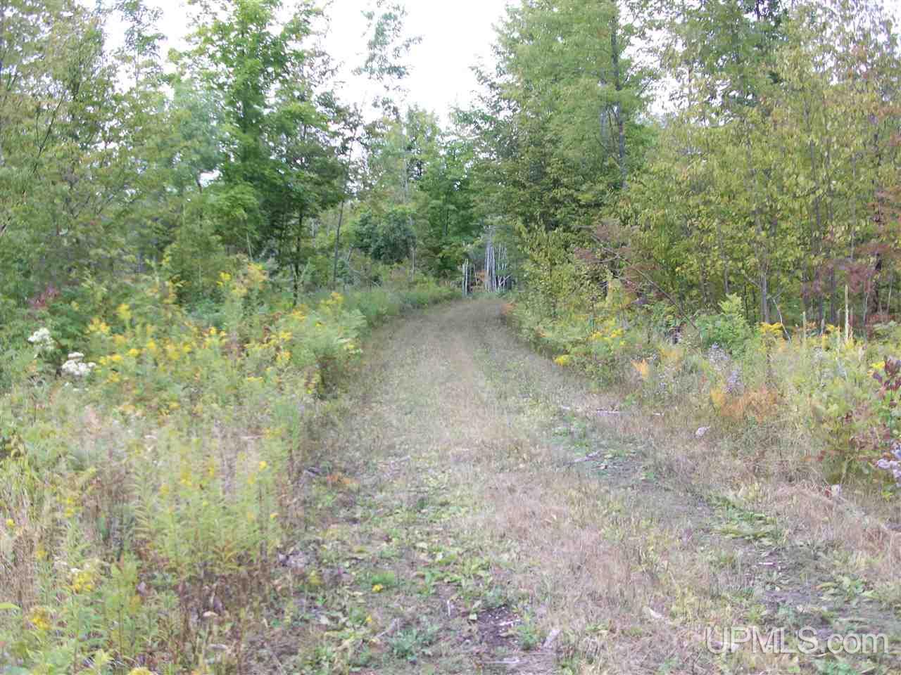 Tbd Fordville Road Foster City, MI 49807 - Photo 2 of 18