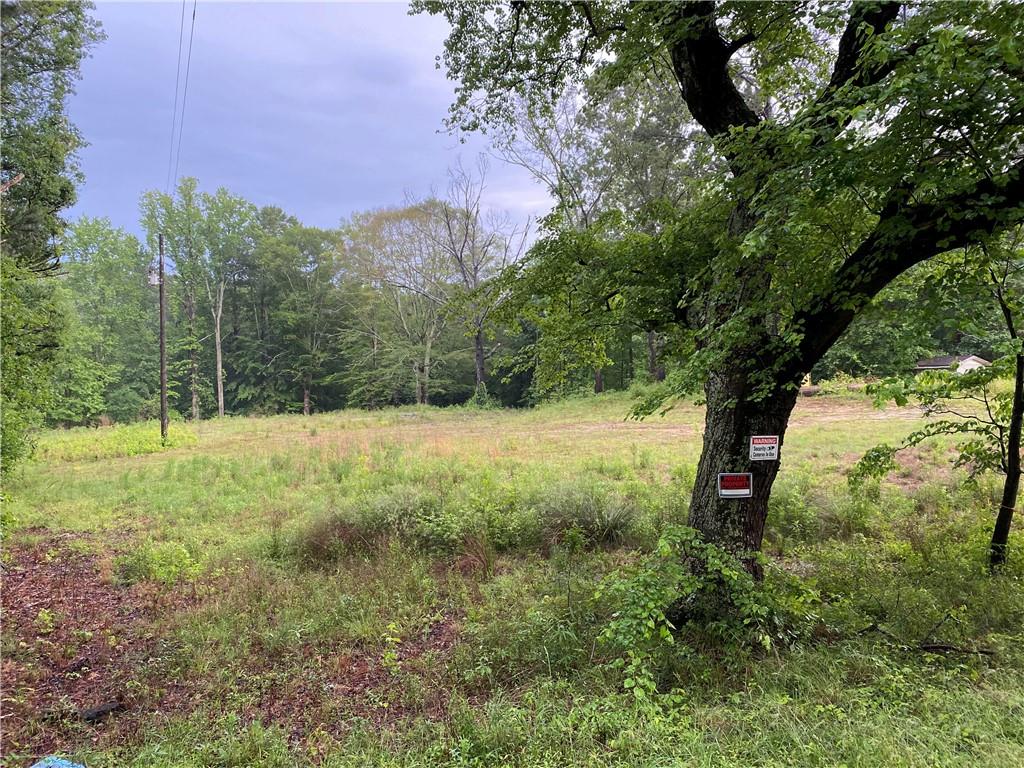 a view of a yard with a tree