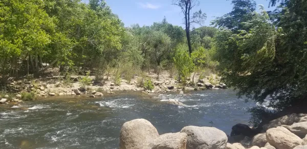 a view of a yard with tree s