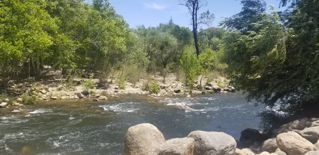 a view of a yard with tree s