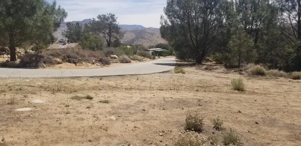 a view of a yard with snow on the road