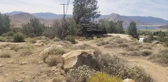 a view of a dry yard