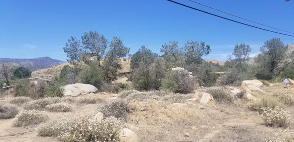 a view of a yard covered in snow