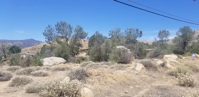 a view of a yard covered in snow