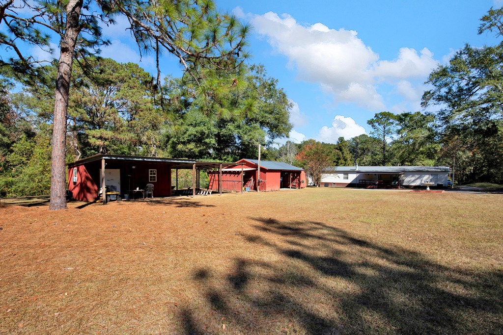 975 Webb To Kinsey Road Webb, AL 36376 - Photo 10 of 56