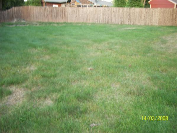 109 Raven Road Lowell, MA 01852 - Photo 8 of 10