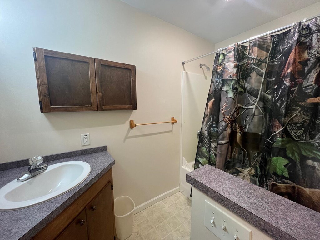 142 Arrowhead Trail Hayesville, NC 28904 - Photo 20 of 41 a bathroom with a granite countertop sink a mirror and shower