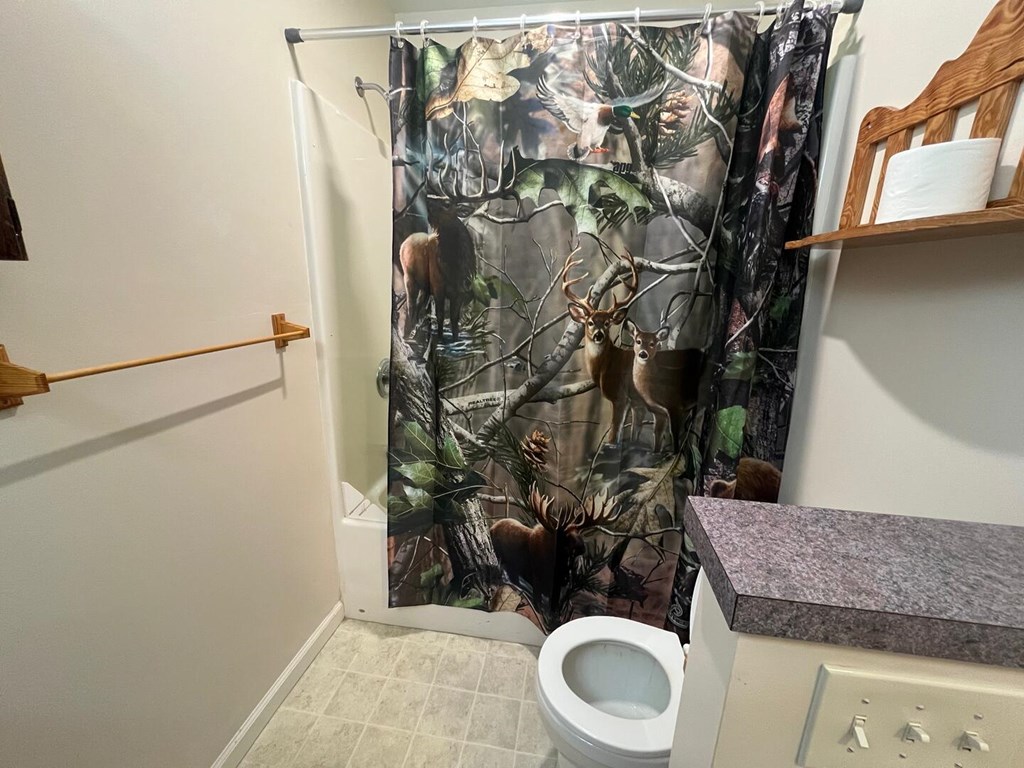 142 Arrowhead Trail Hayesville, NC 28904 - Photo 21 of 41 a bathroom with a granite countertop toilet and a sink