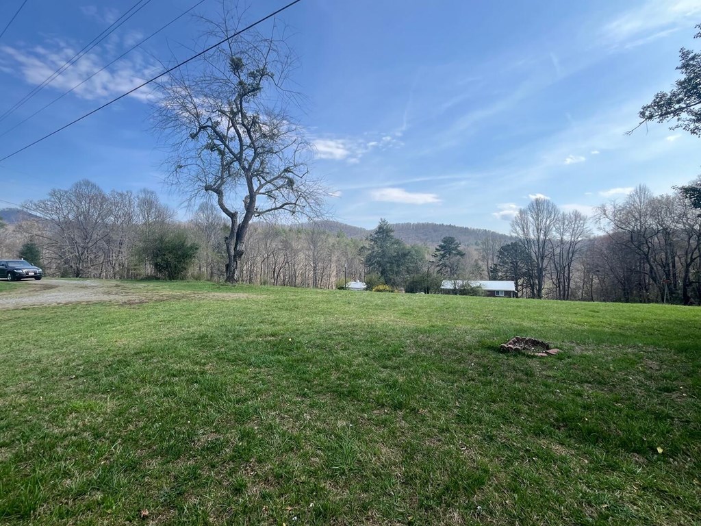 142 Arrowhead Trail Hayesville, NC 28904 - Photo 40 of 41 a view of a garden