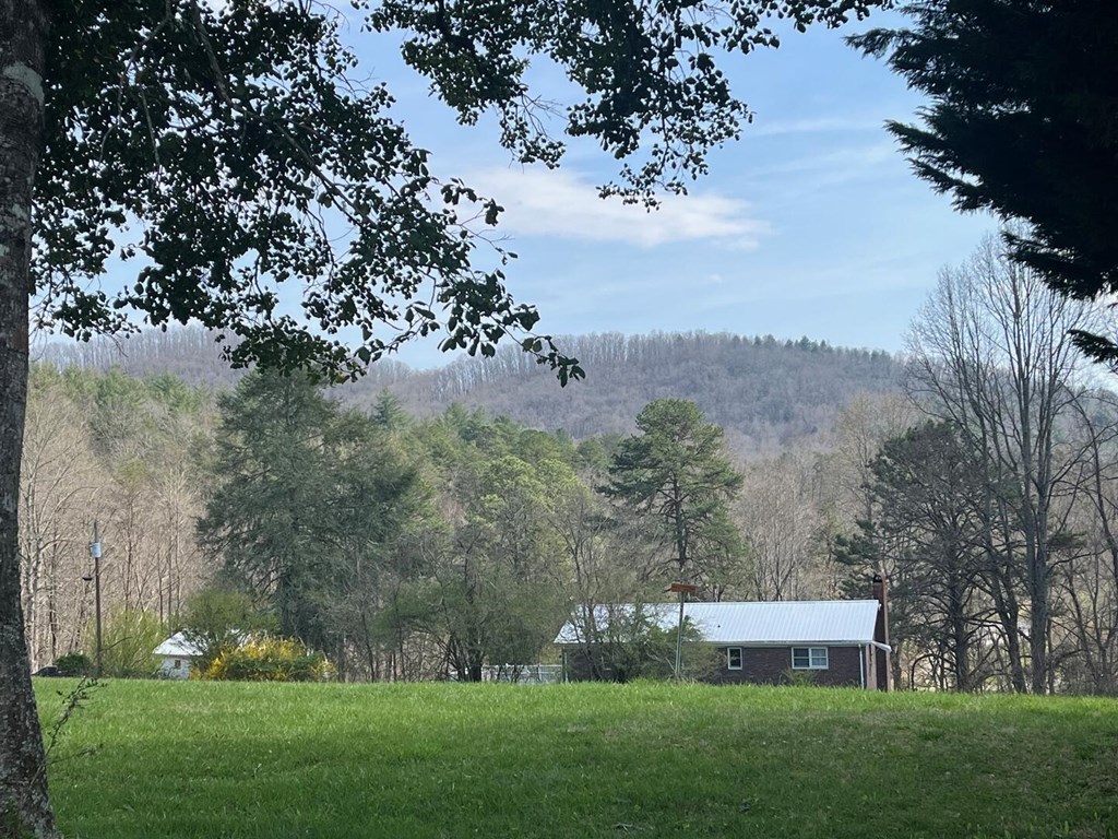 142 Arrowhead Trail Hayesville, NC 28904 - Photo 41 of 41 a view of house with garden space and trees
