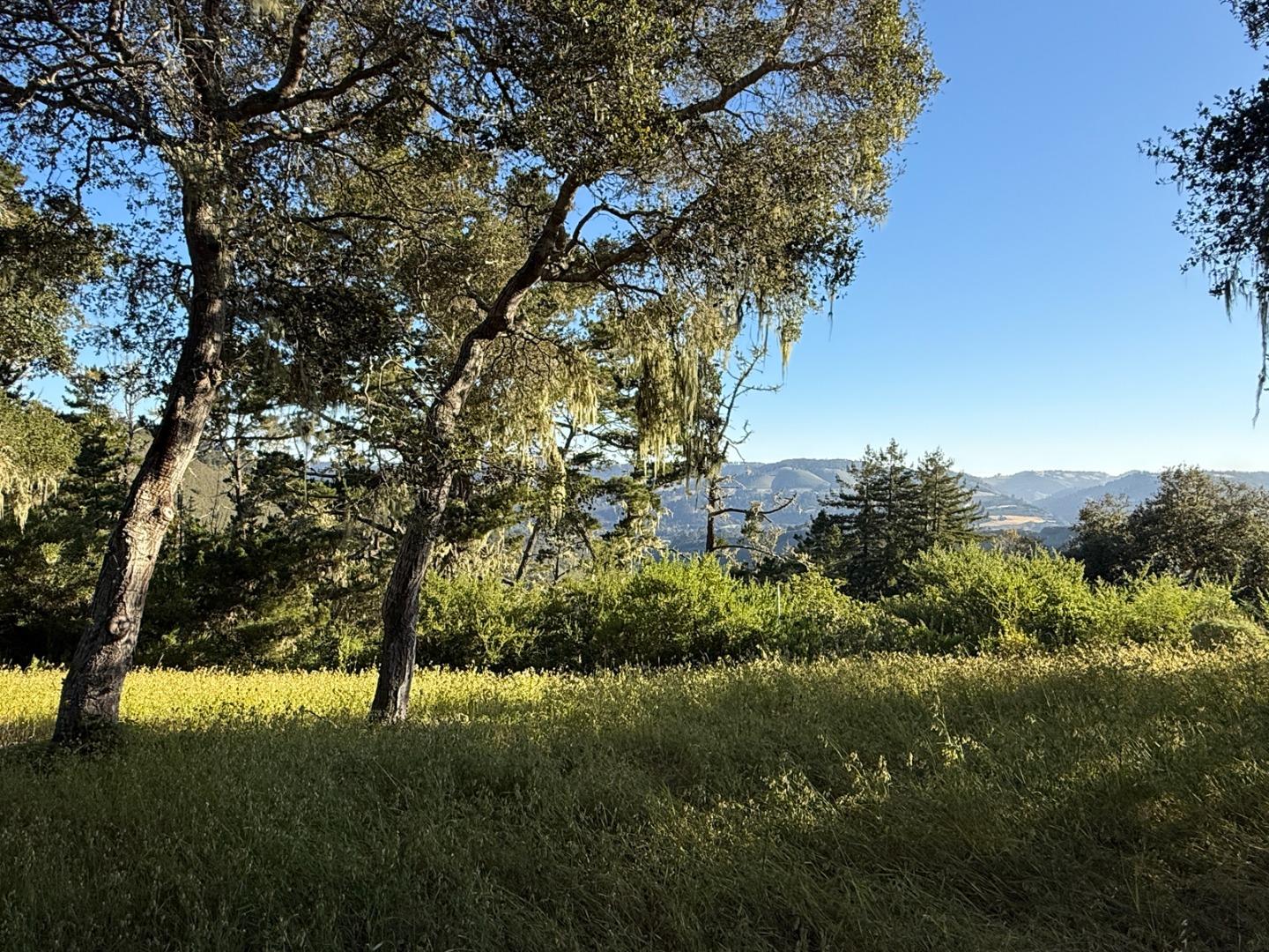 6 Rancho San Carlos Road Carmel, CA 93923 - Photo 9 of 16