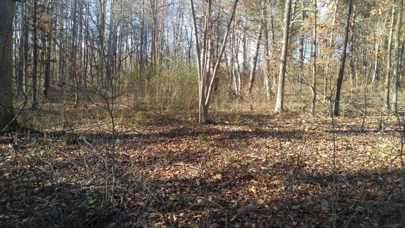 Lot #2 Ewing Road Spring City, TN 37381 - Photo 4 of 4 4 (Medium)
