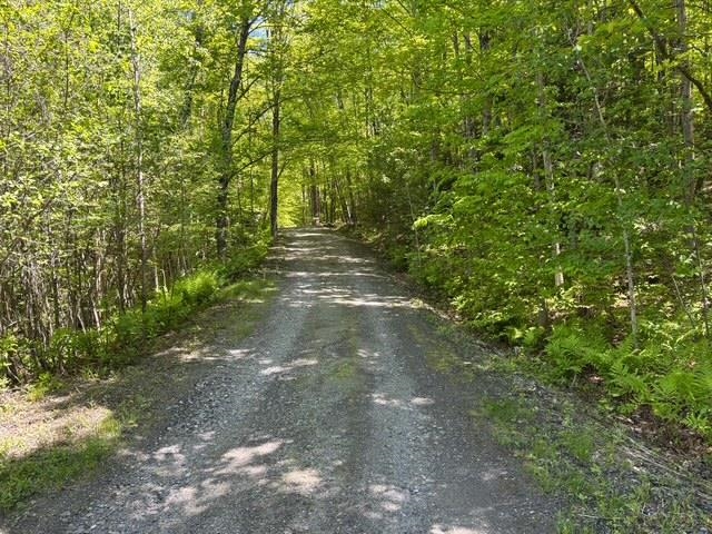 582 Hartley Hill Road Westminster, VT 05346 - Photo 3 of 23