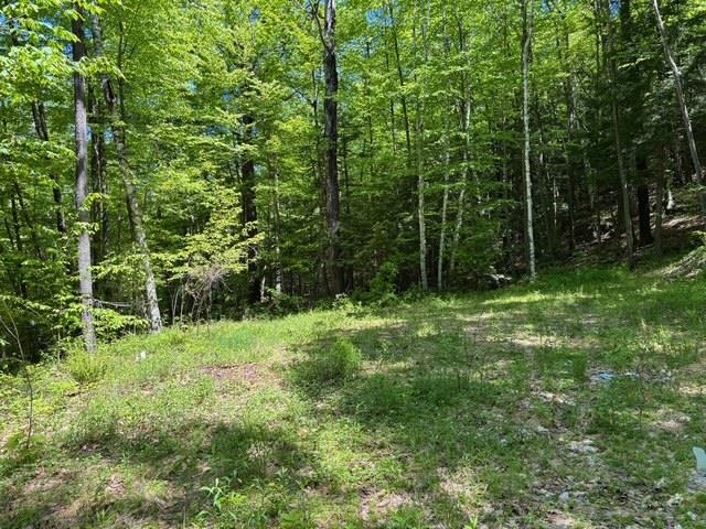 582 Hartley Hill Road Westminster, VT 05346 - Photo 5 of 23