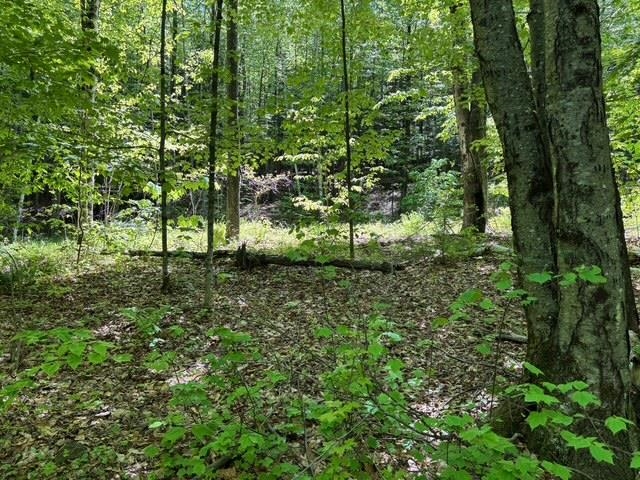 582 Hartley Hill Road Westminster, VT 05346 - Photo 6 of 23