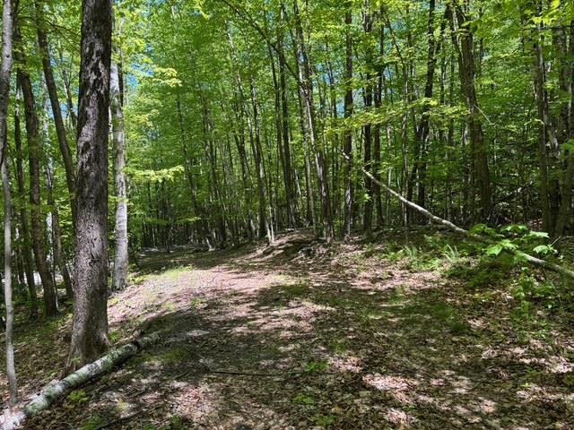 582 Hartley Hill Road Westminster, VT 05346 - Photo 8 of 23