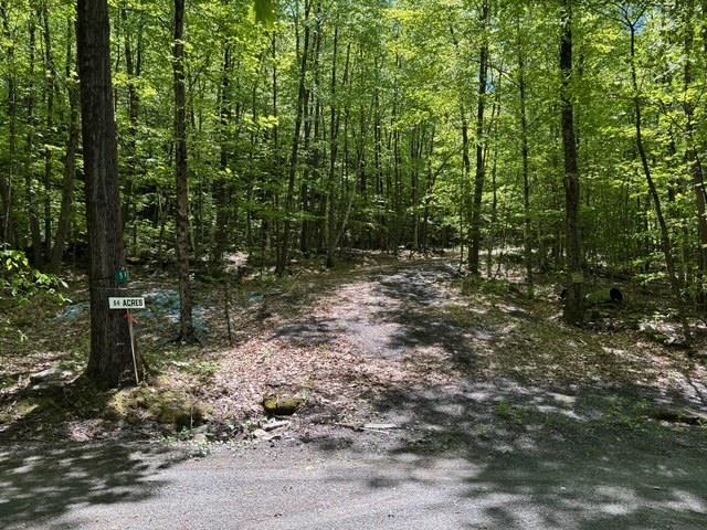582 Hartley Hill Road Westminster, VT 05346 - Photo 9 of 23