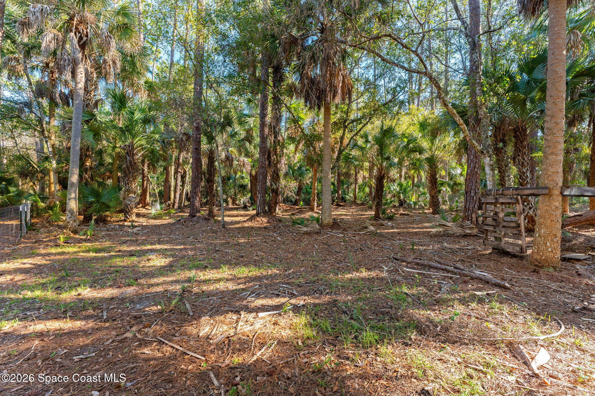 3975 Corey Road Malabar, FL 32950 - Photo 22 of 53 DSC01126