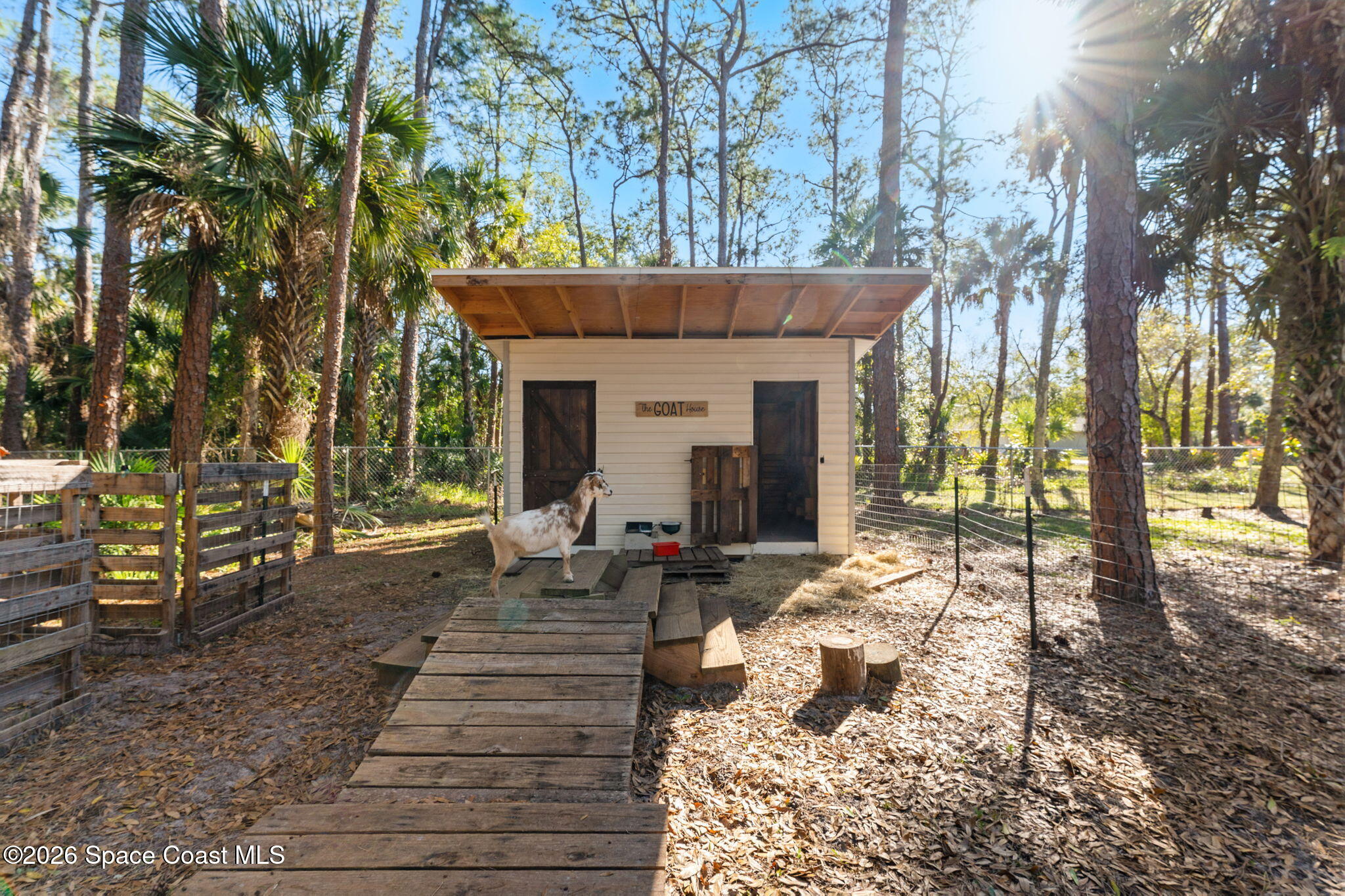 3975 Corey Road Malabar, FL 32950 - Photo 31 of 50 DSC01123