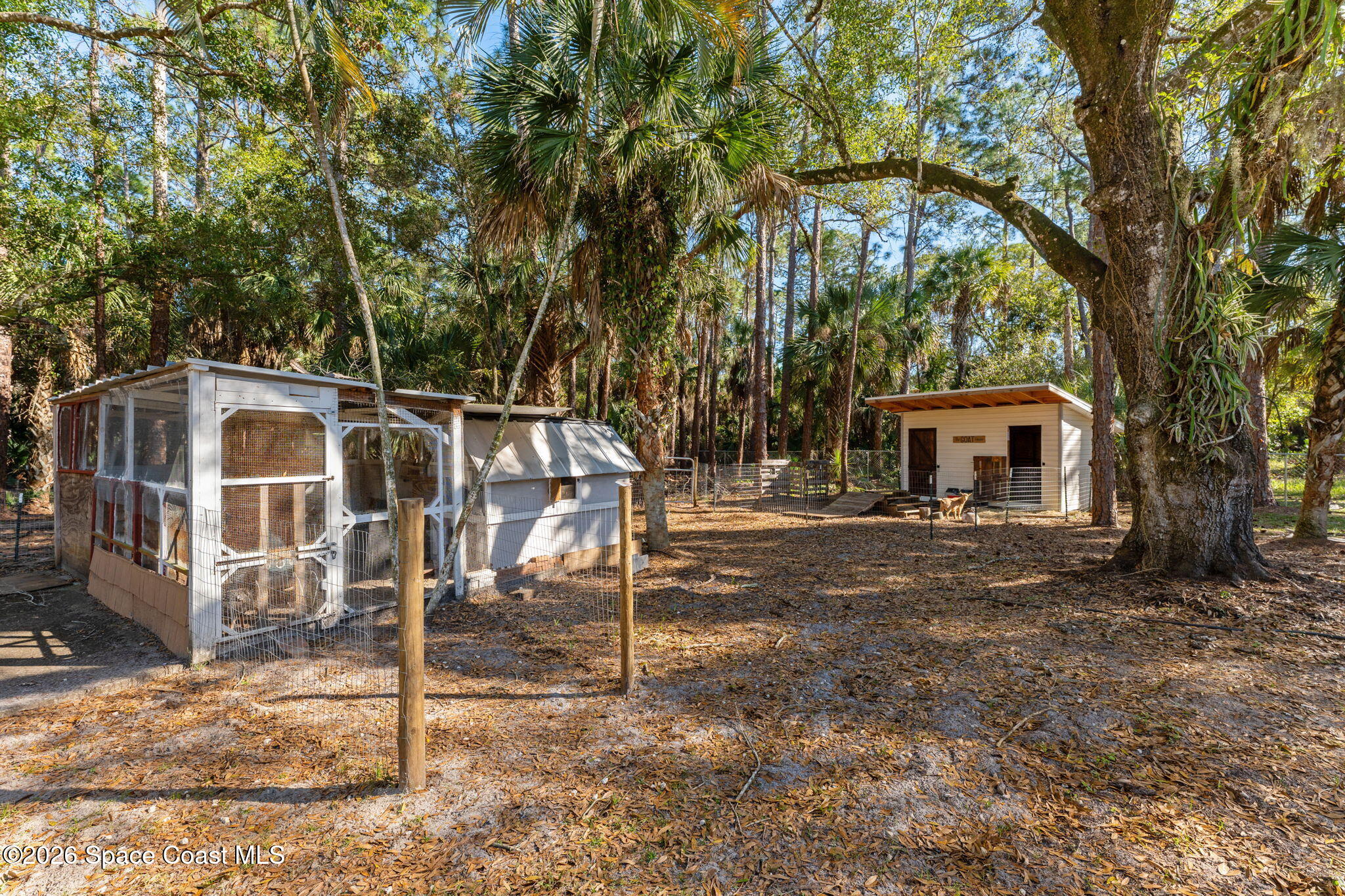3975 Corey Road Malabar, FL 32950 - Photo 31 of 53 a view of a house with backyard and a tree