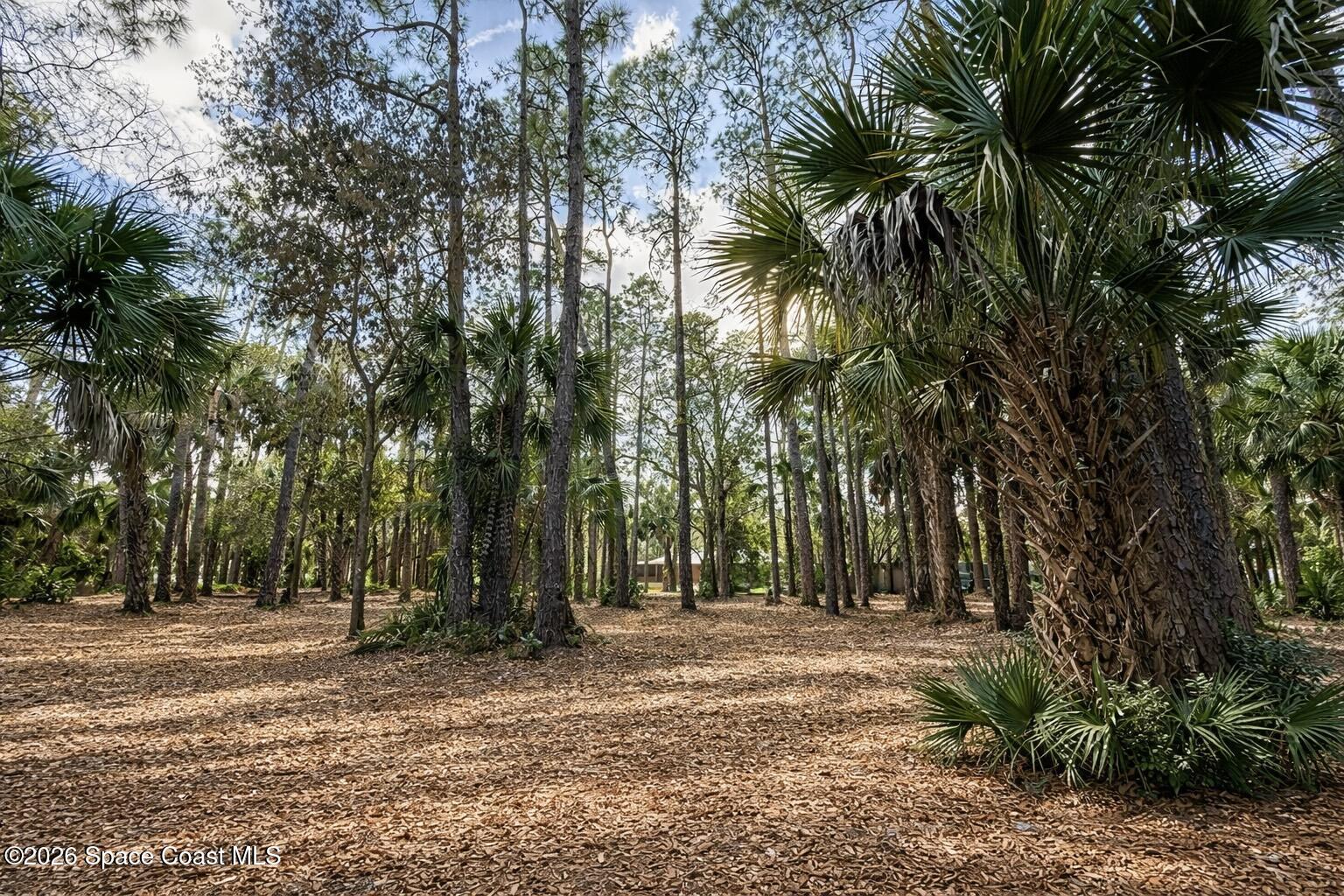 3975 Corey Road Malabar, FL 32950 - Photo 51 of 53 a view of outdoor space with trees