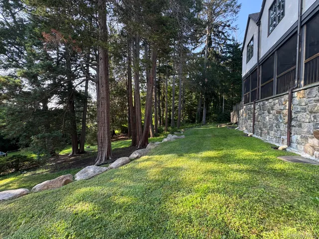 a view of a yard with large trees