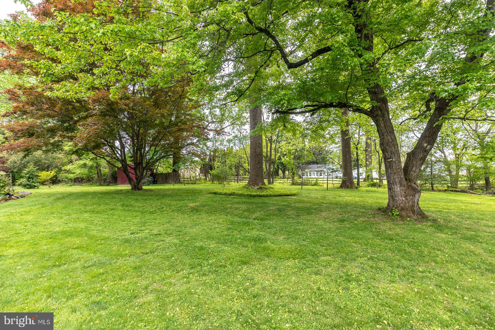 534 Pinney Road Huntingdon Valley, PA 19006 - Photo 25 of 26 a huge green field with lots of trees