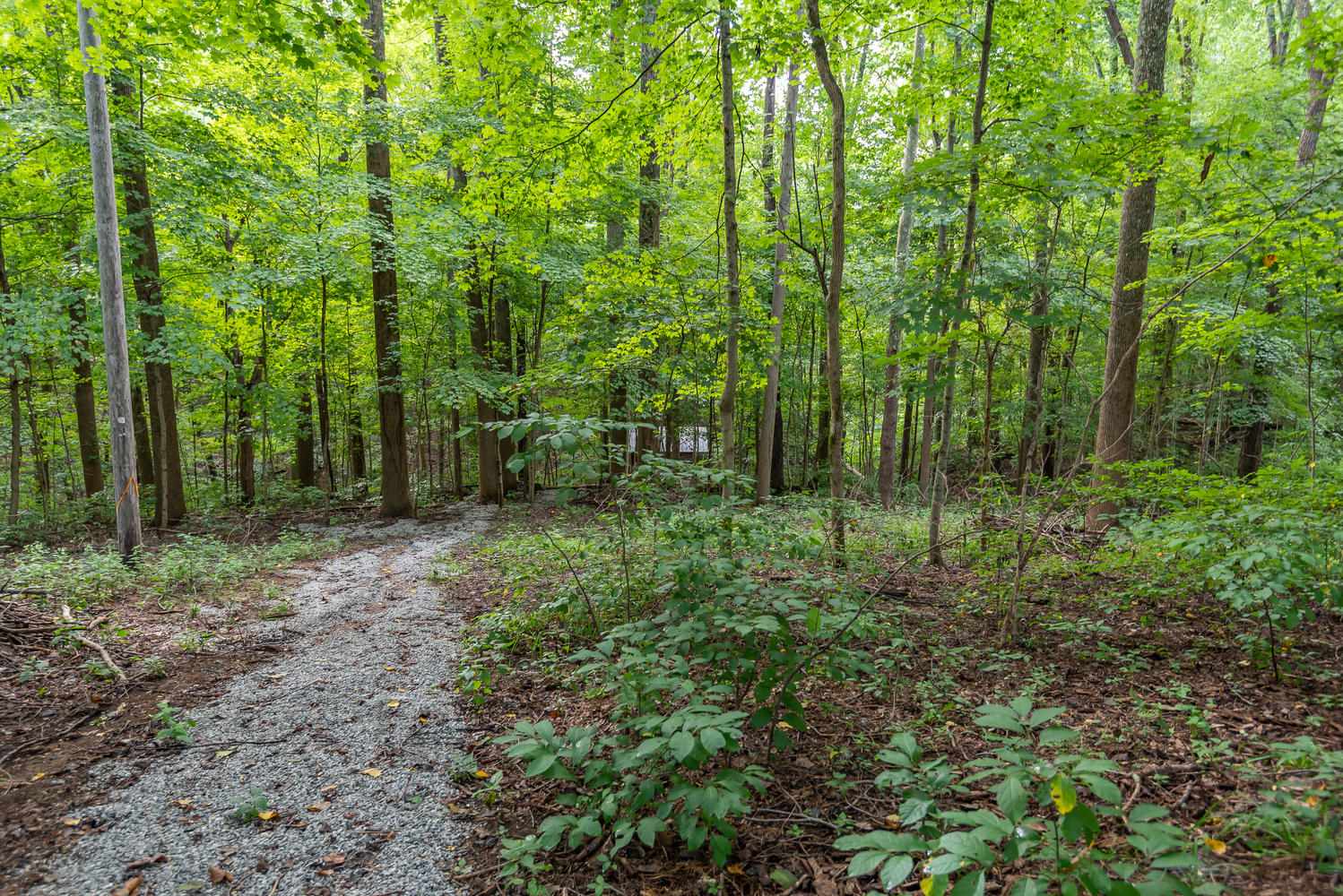 4870 East Inverness Woods Road Bloomington, IN 47401 - Photo 32 of 36