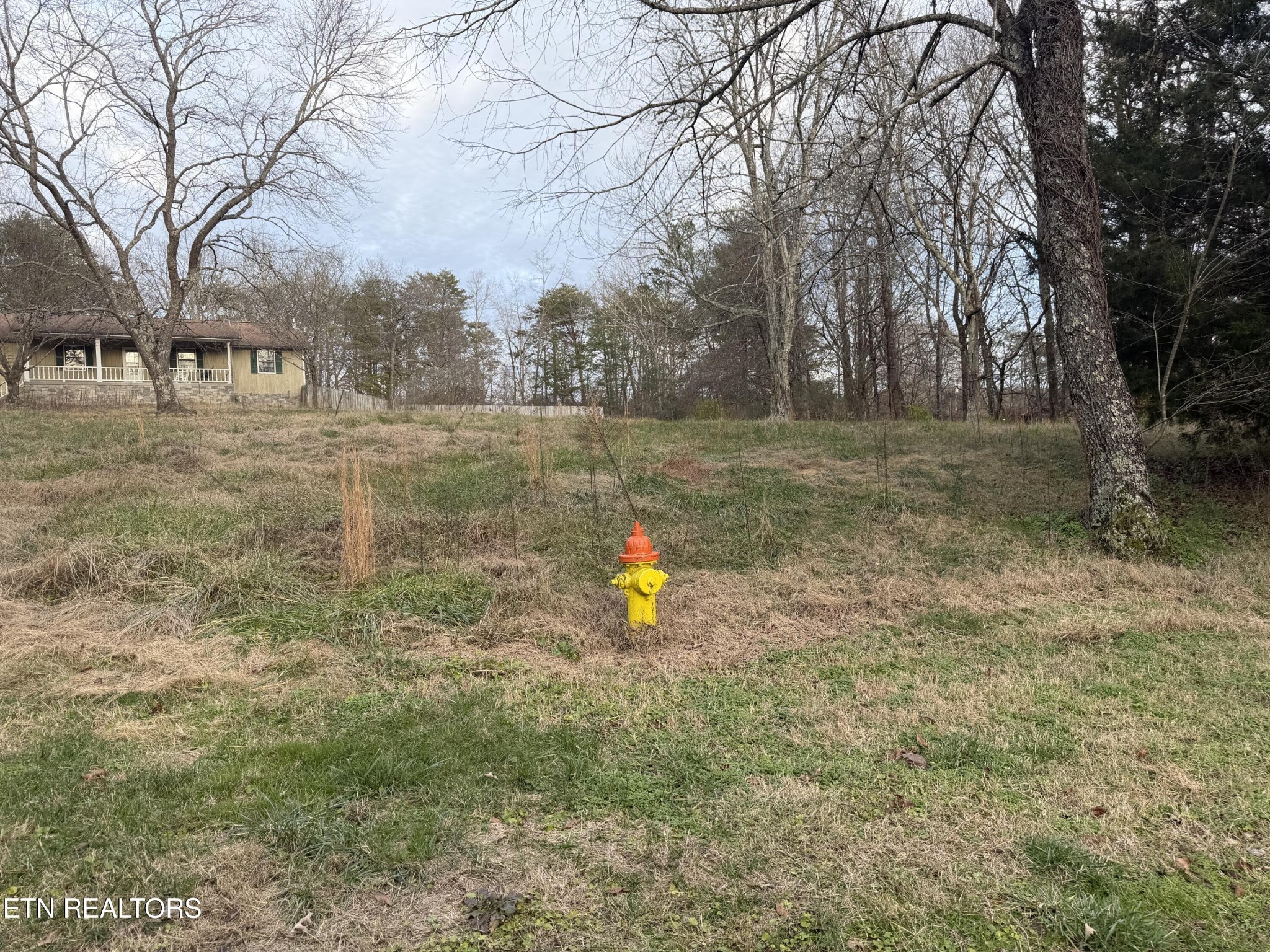 166 Nolan Lane Heiskell, TN 37754 - Photo 25 of 35
