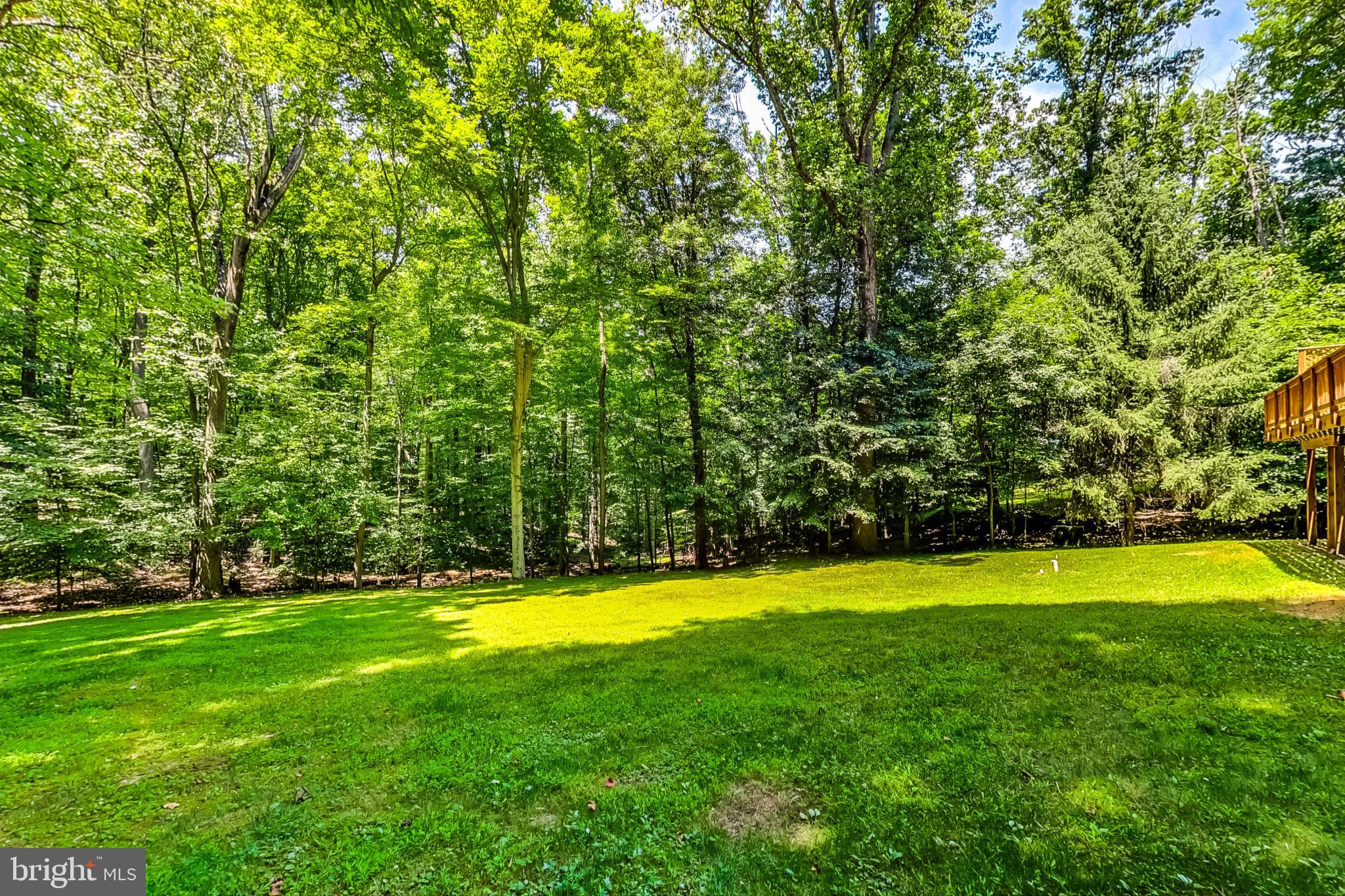 9206 Potomac Ridge Road Great Falls, VA 22066 - Photo 54 of 60 5 acre lot