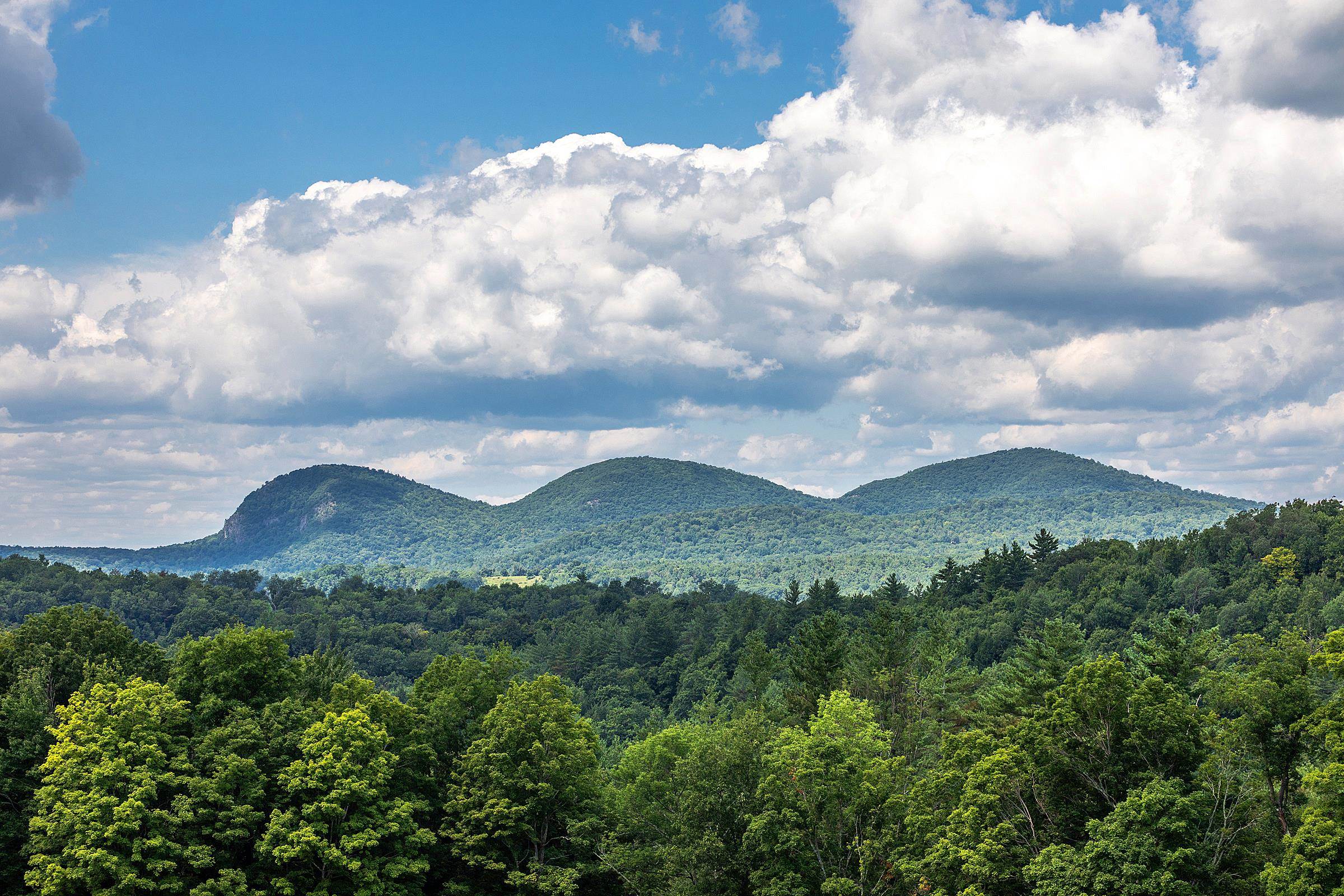 3780 Danby Pawlet Road Danby, VT 05761 - Photo 2 of 40