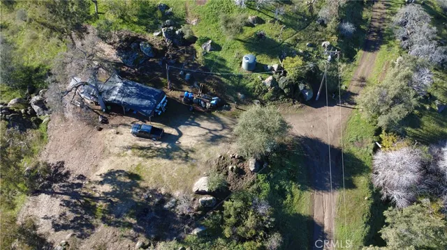 a view of a tree in a yard