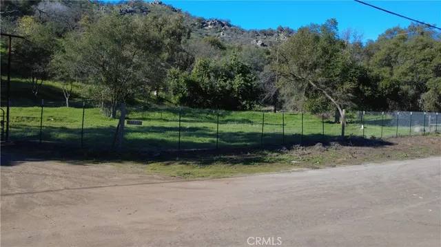 a view of a garden with plants